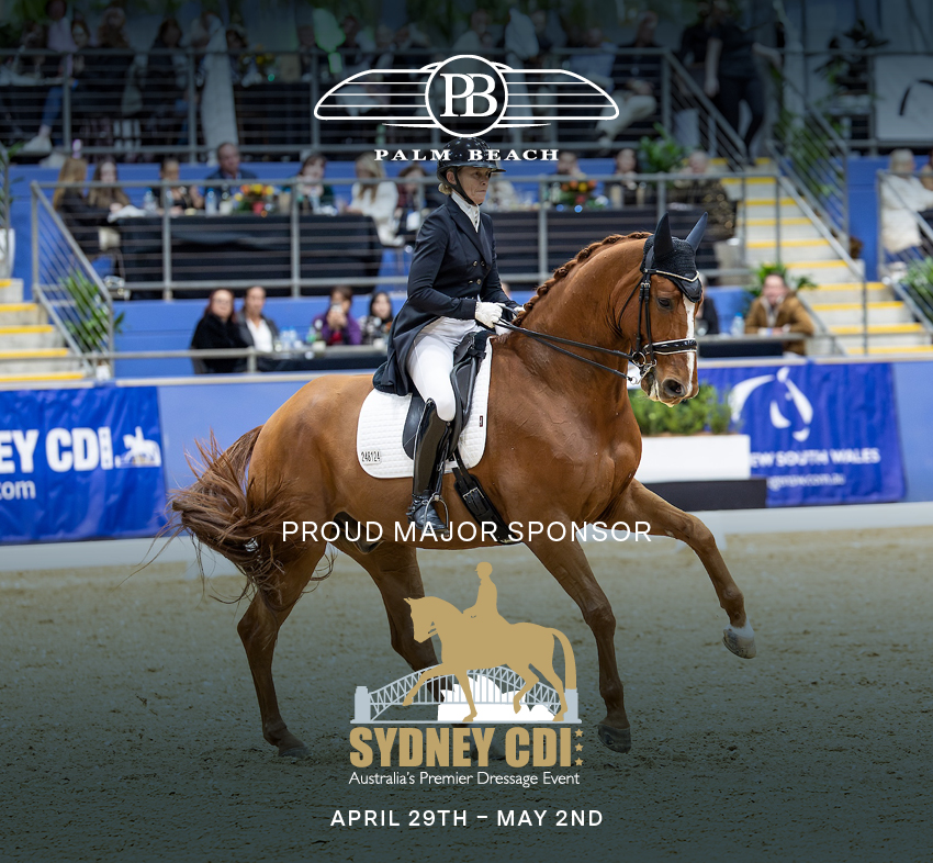 Palm Beach Motor Yachts